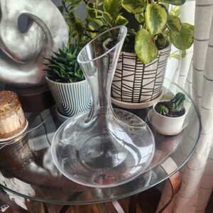 Pottery Barn Vino Glass Wine Decanter Aerator Modern Swoon Minimalist Hosting